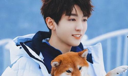 吃瓜娱乐王俊凯