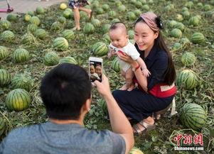 桂平北江吃瓜群众,吃瓜群众的热议焦点