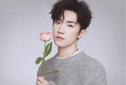 周晨佳明星,星光璀璨的演艺之路