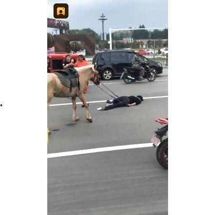 网红骑马爆料视频大全最新,揭秘马背上的精彩瞬间