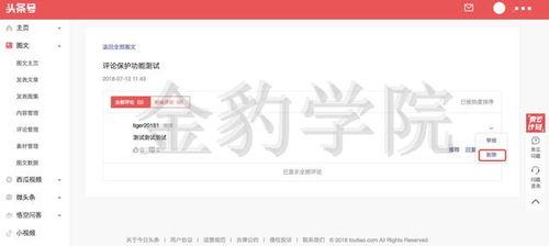 头条号文化包括哪些内容,解码内容生态的多维度内涵