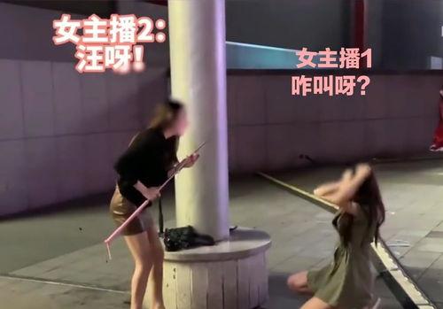 网红爬树狗,树间舞者，网络新宠