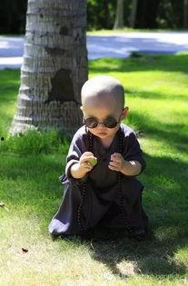 网红广东和尚,禅意生活，佛心传播