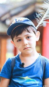 喜欢诺一的明星,探寻偶像背后的故事