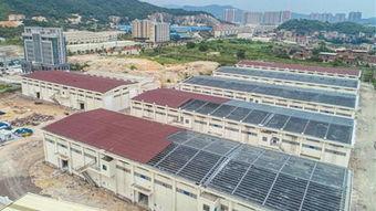 今日头条绥中粮库,守护粮食安全，筑牢国家粮仓防线