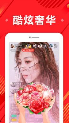 网红主播深夜聊天视频,网红主播的私密对话揭秘