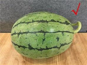 每天看娱乐吃瓜,笑谈娱乐圈风云