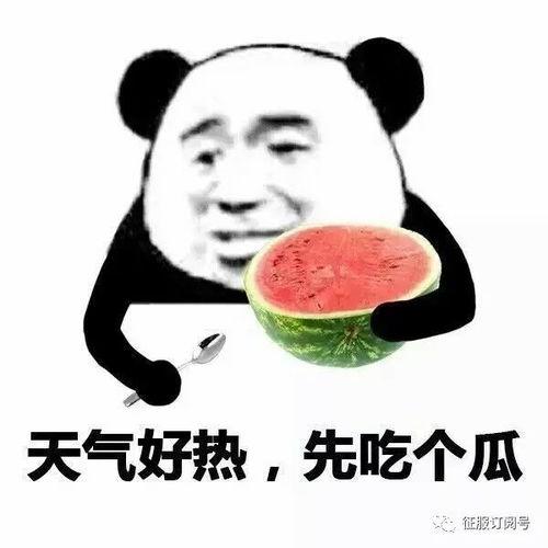 娱乐吃瓜酱真正的疼痛,真实疼痛背后的故事