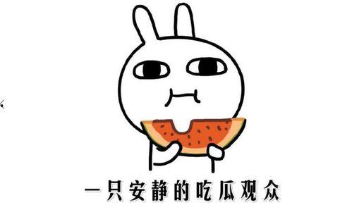 吃瓜表情的含义是什么意思啊,网络社交中的幽默与讽刺