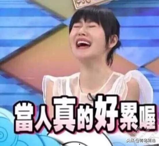 吃瓜还得看娱乐圈,吃瓜群众必备指南